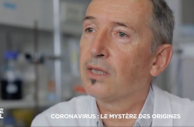 [Abus de pouvoir] Envoyé Spécial (France 2) : le reportage sur les origines du coronavirus choque les internautes (VIDEO)