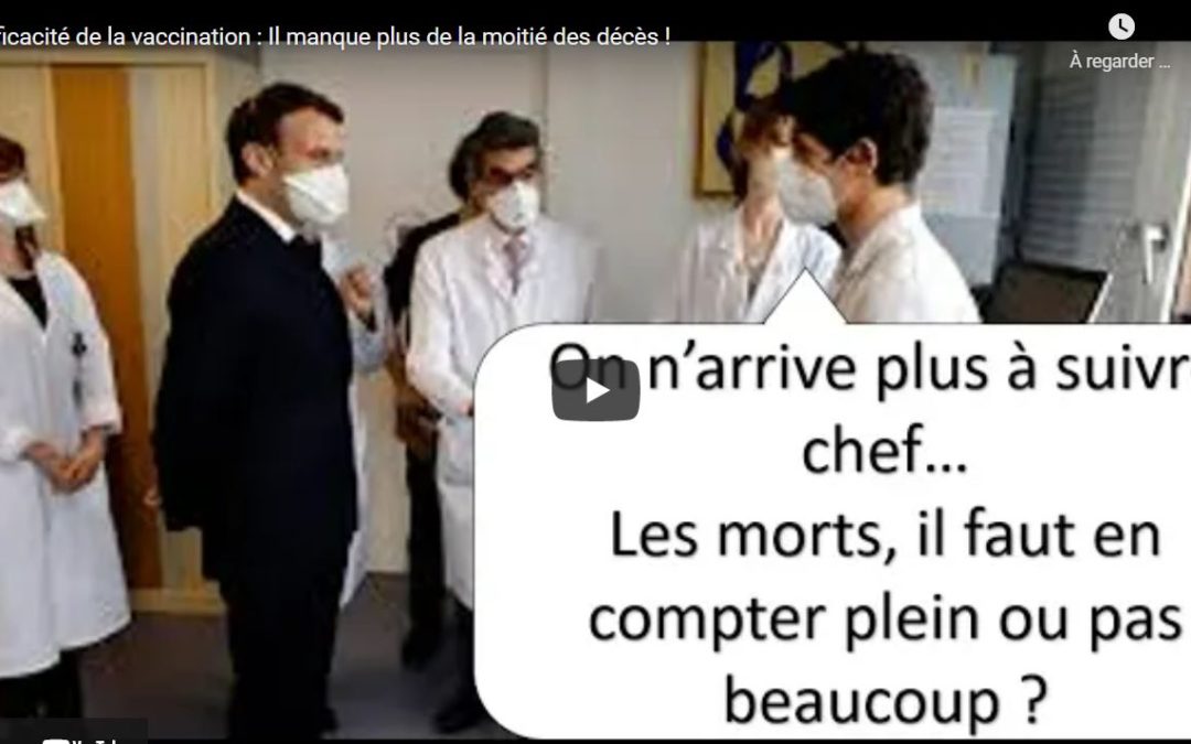 [Abus de pouvoir, fake-news officielles] Les chiffres de la DREES — qui justifient les persécutions des opposants politiques en France — sont grossièrement FAUX : « Efficacité de la vaccination : Il manque plus de la moitié des décès ! » par Pierre Chaillot