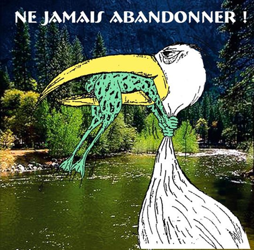 Ne jamais abandonner
